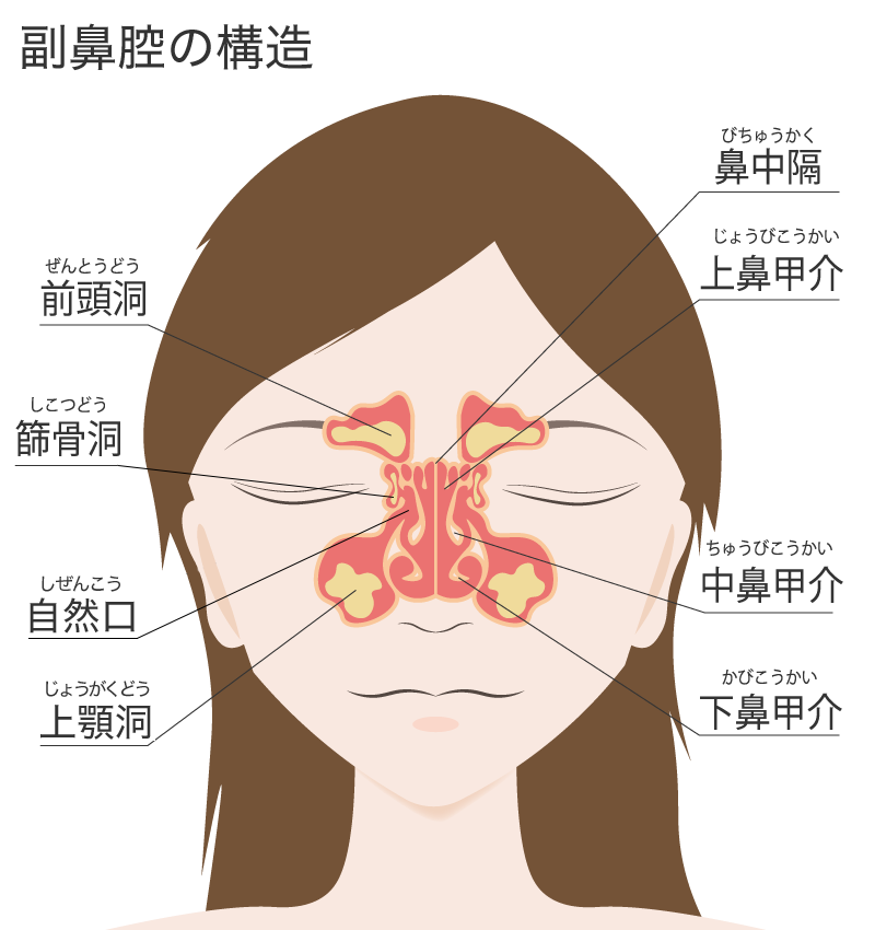 後鼻漏の原因