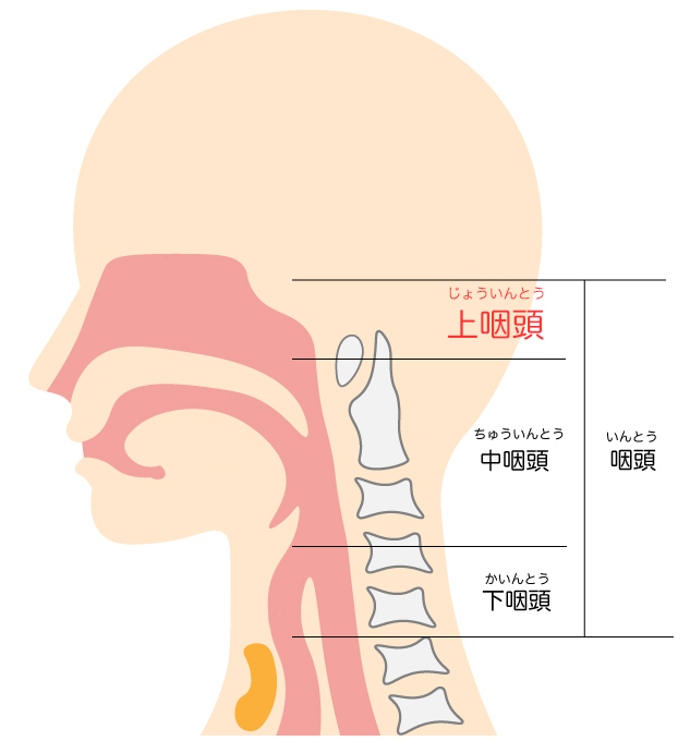 上咽頭炎